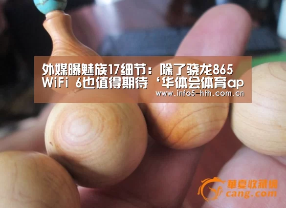 外媒曝魅族17细节:除了骁龙865 WiFi 6也值得期待‘华体会体育app下载’(图1) 华体会官方平台