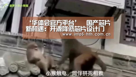 ‘华体会官方平台’国产芯片新机遇:开源降低芯片设计门槛,敏捷设计缩短开发周期(图2) 华体会官网下载