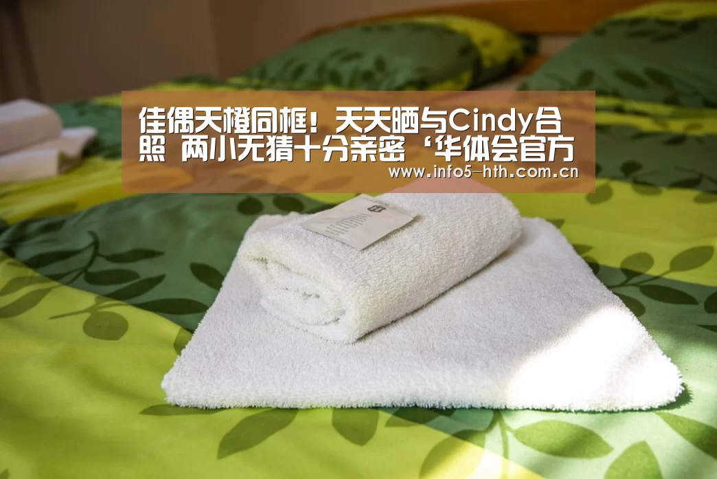 华体会官方网站入口