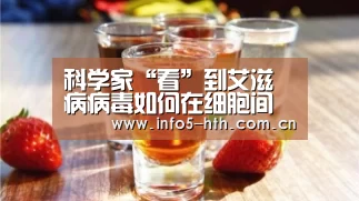 华体会体育app下载