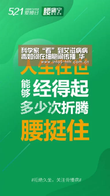 华体会官方网站入口